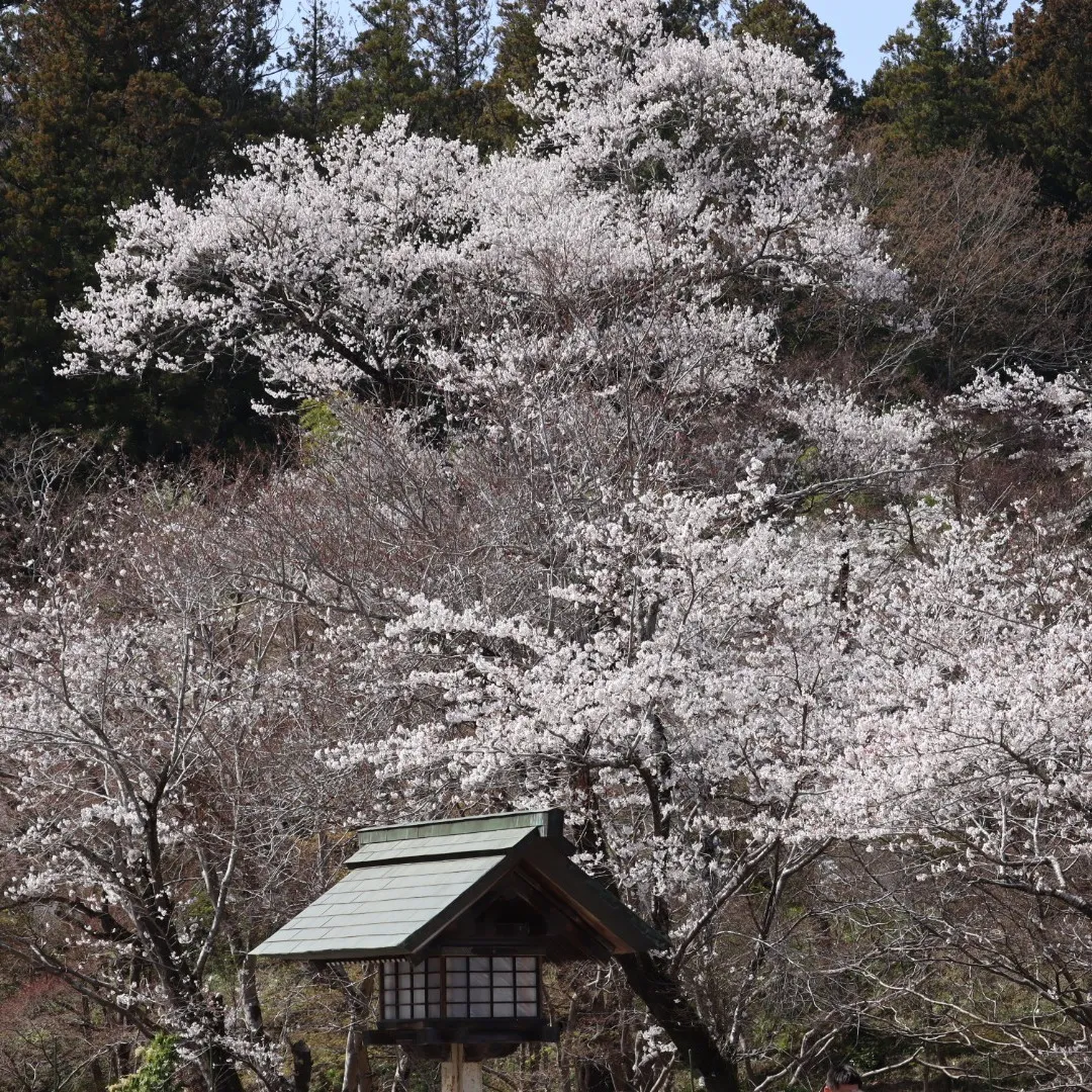 埼玉県狭山市にあります