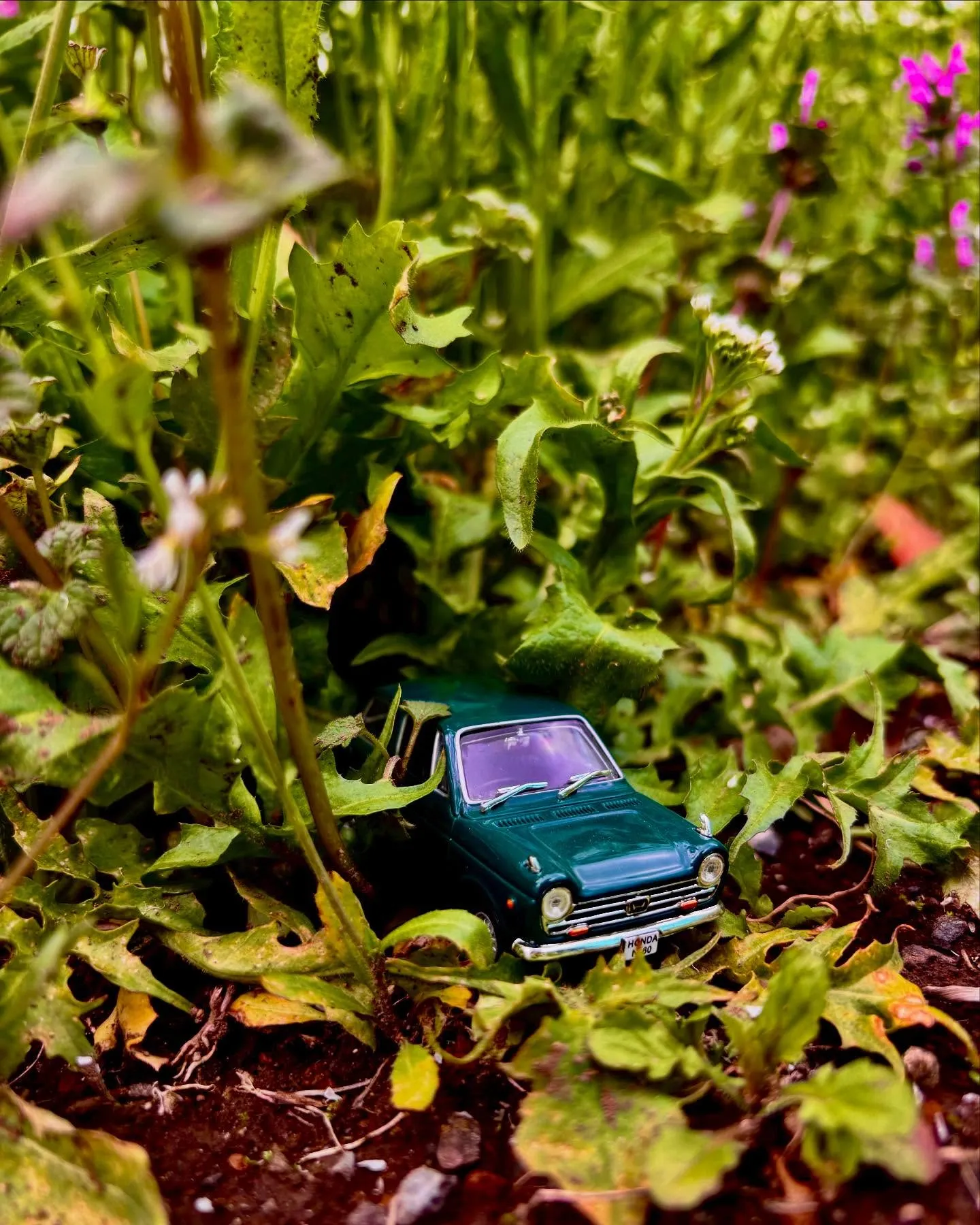 🚗狭山市中古車販売店CarShop FACT.🚗