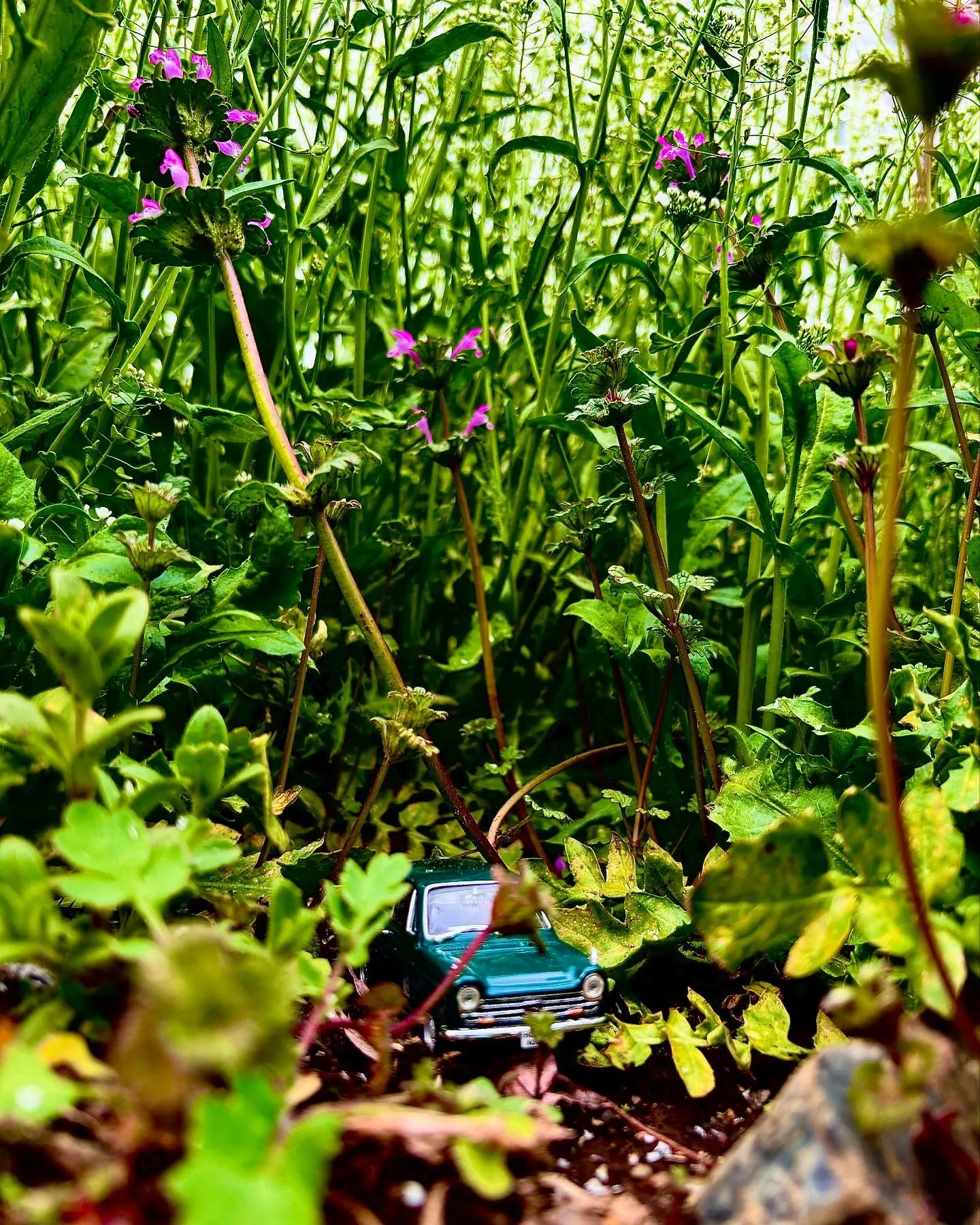 🚗狭山市中古車販売店CarShop FACT.🚗