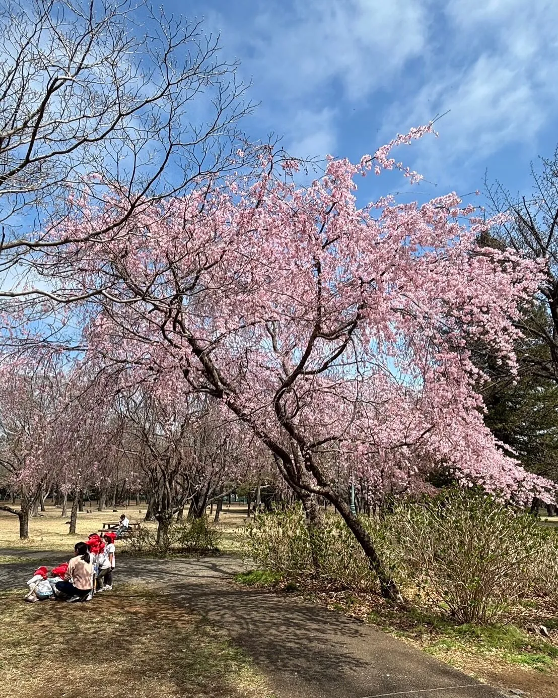 🚗狭山市中古車販売店CarShop FACT.🚗