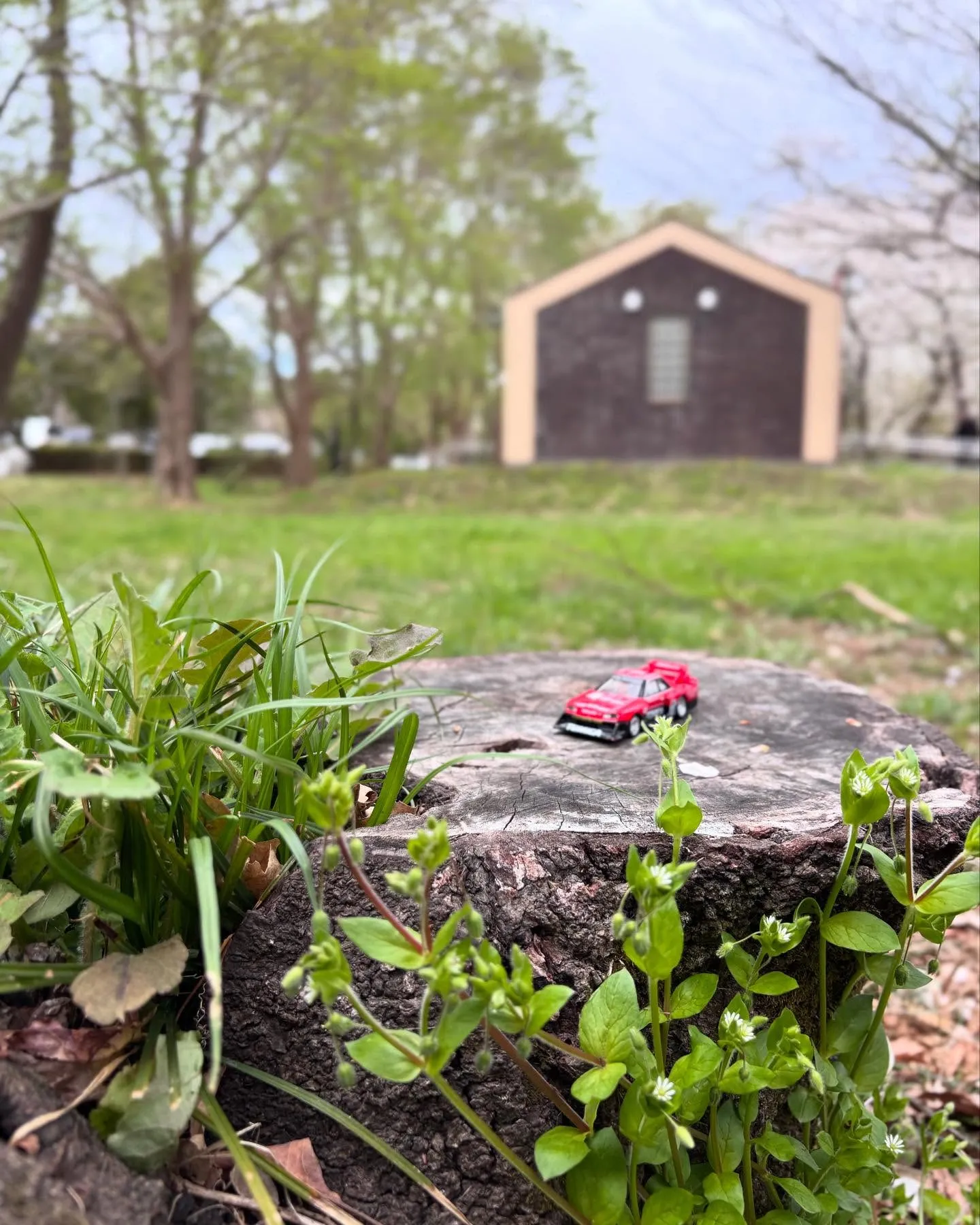 🚗狭山市中古車販売店CarShop FACT.🚗