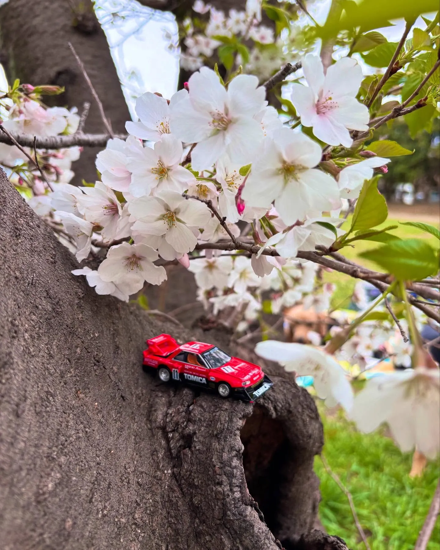 🚗狭山市中古車販売店CarShop FACT.🚗