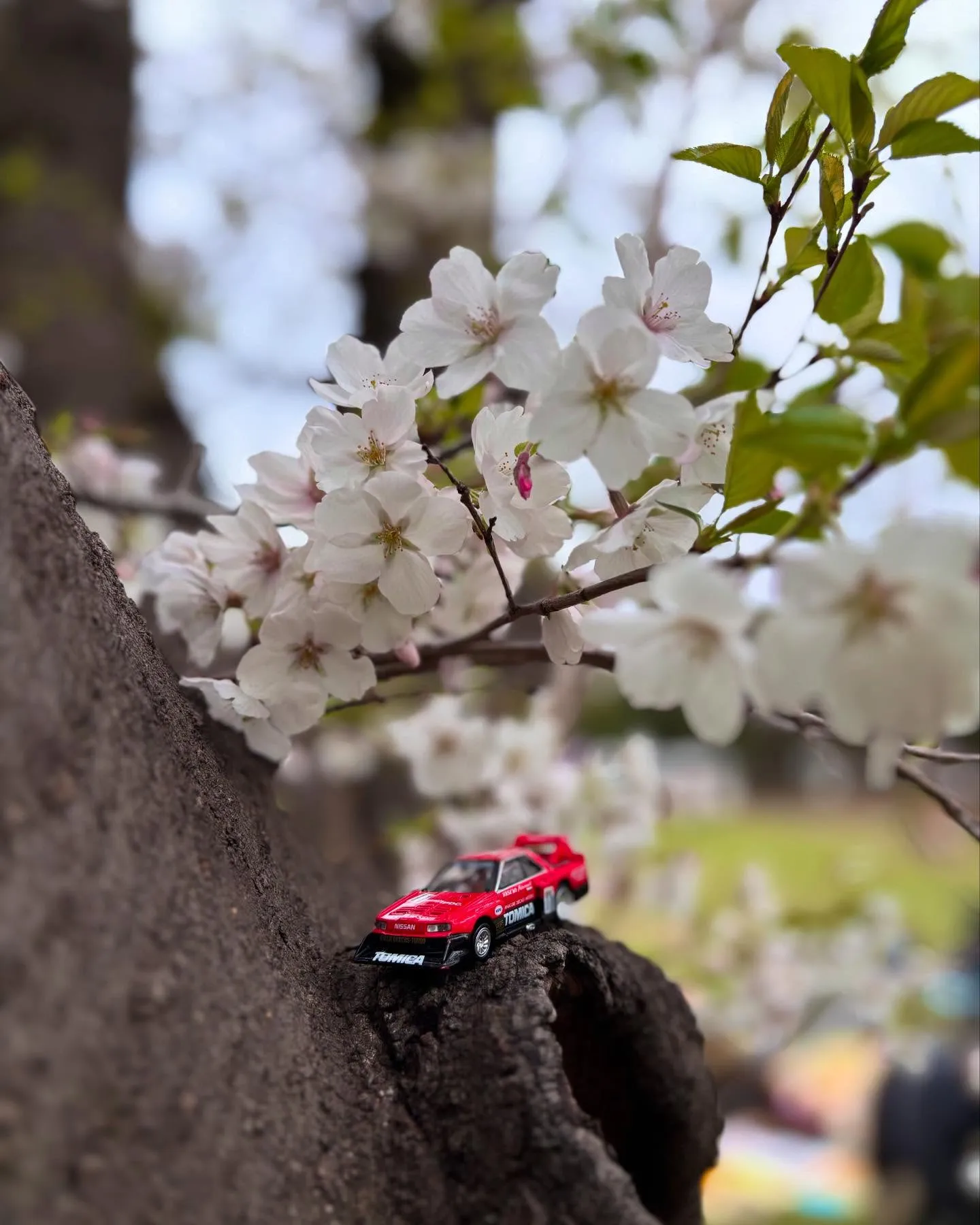 🚗狭山市中古車販売店CarShop FACT.🚗