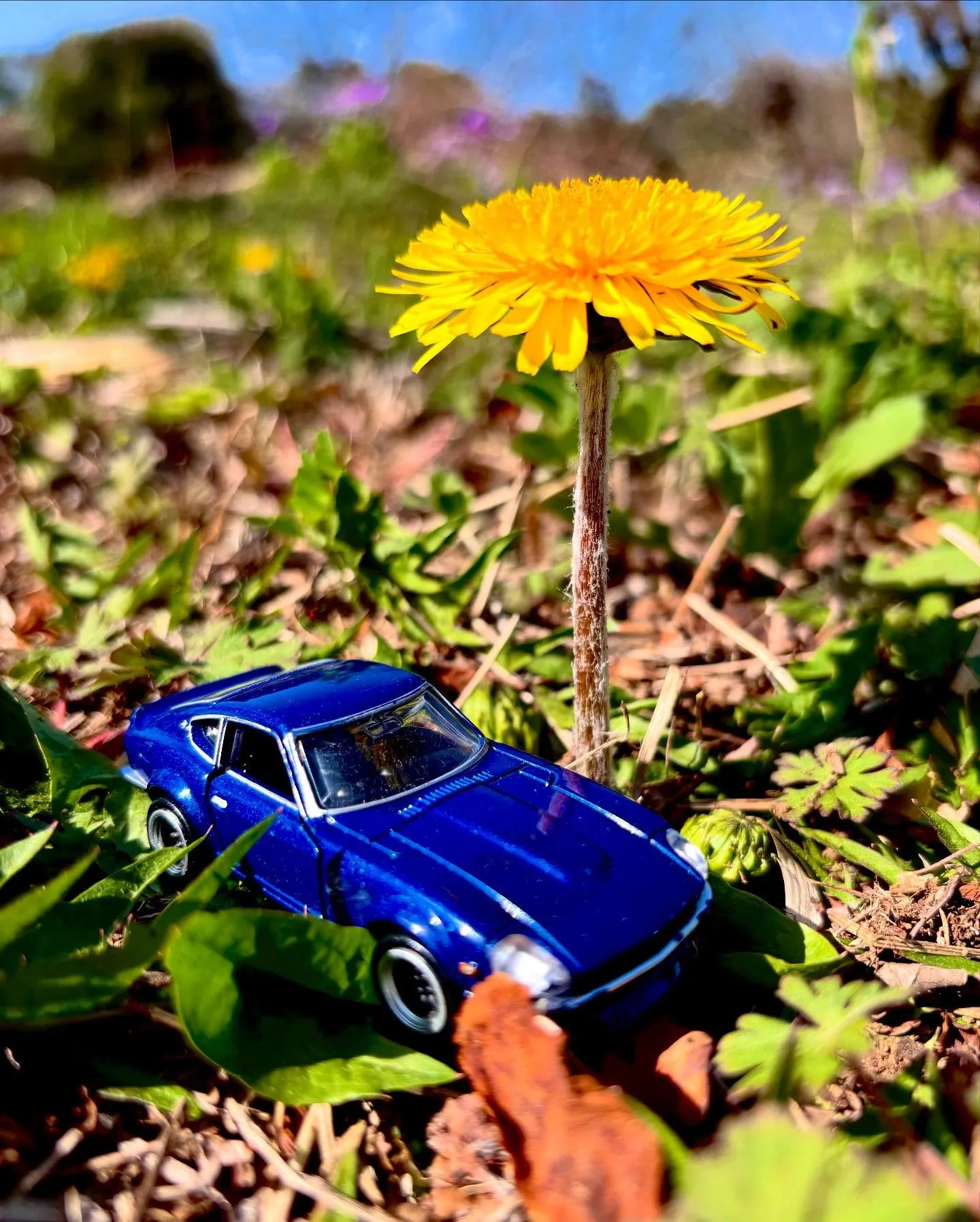 🚗狭山市中古車販売店CarShop FACT.🚗