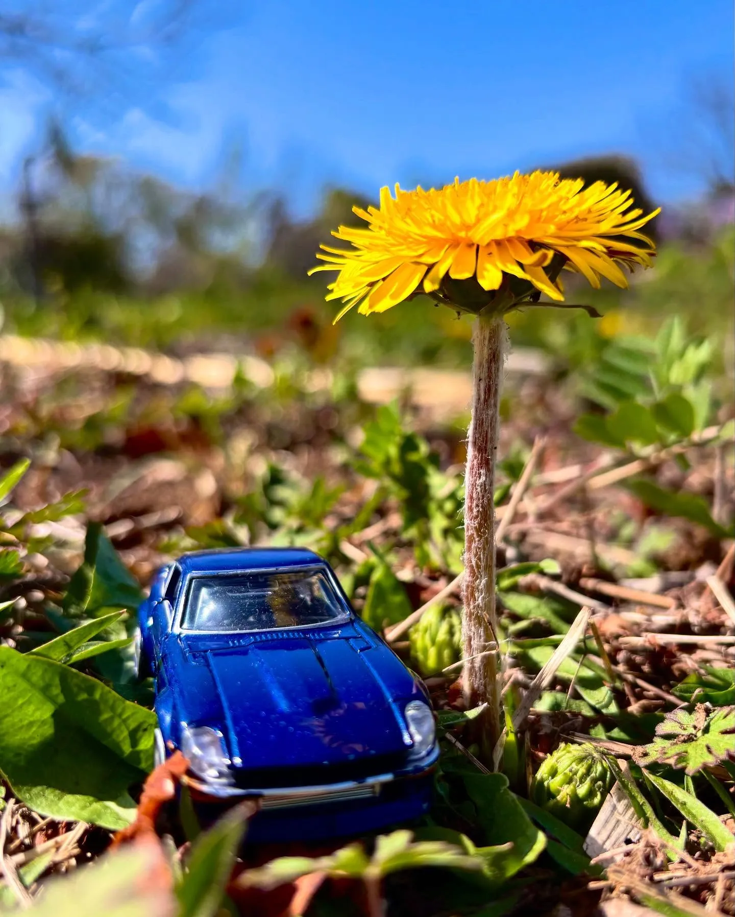 🚗狭山市中古車販売店CarShop FACT.🚗