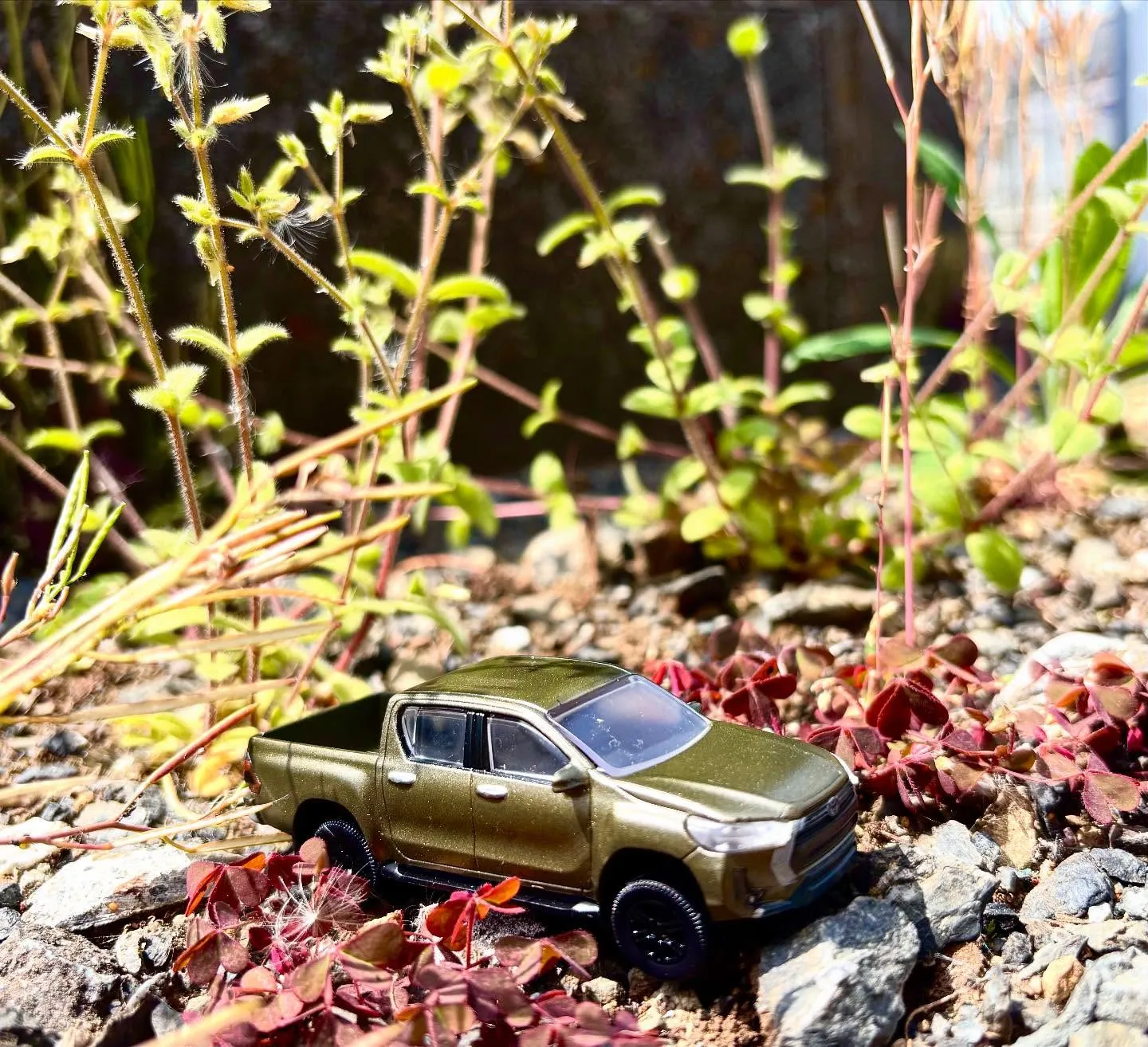 🚗狭山市中古車販売店CarShop FACT.🚗