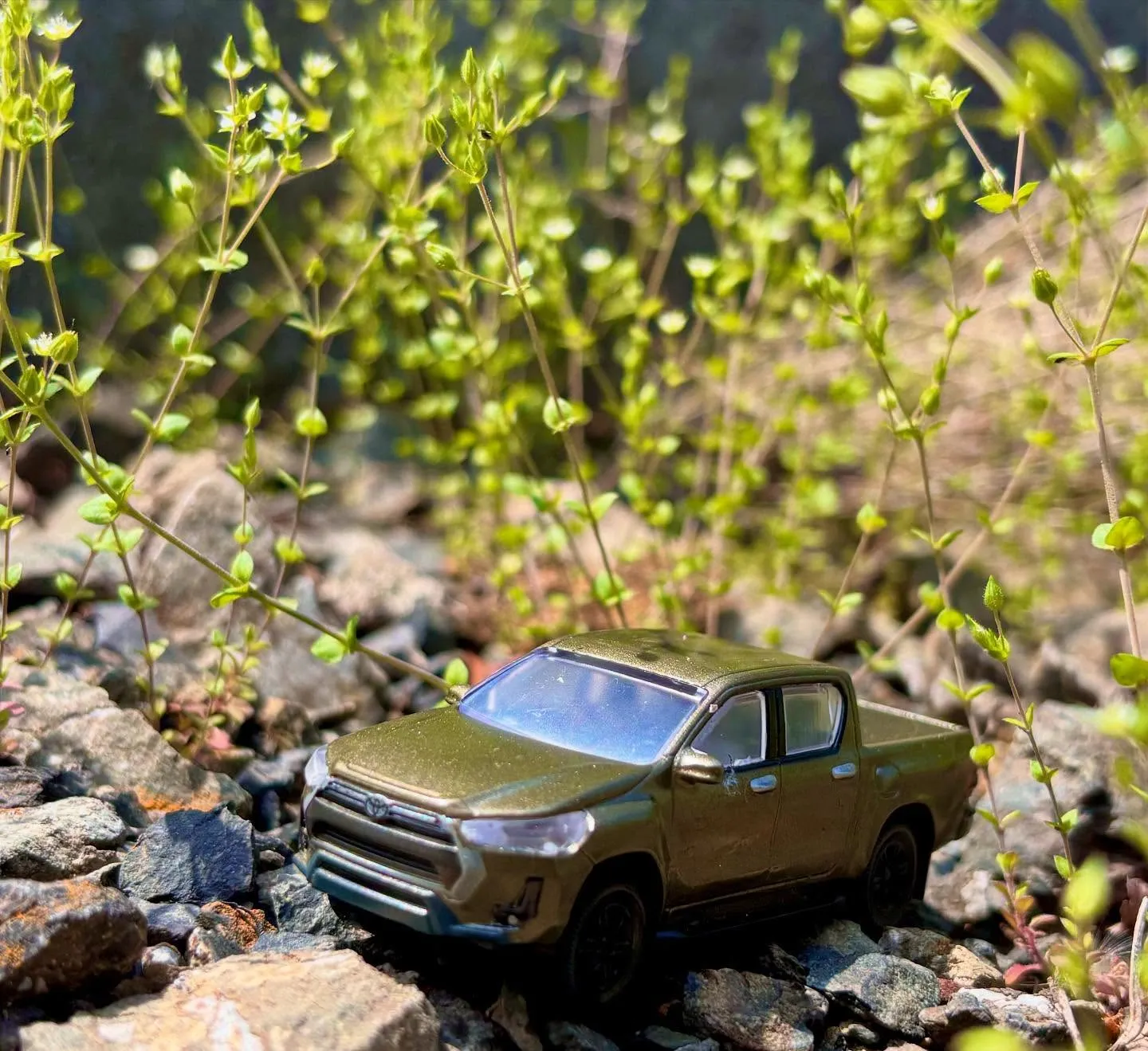 🚗狭山市中古車販売店CarShop FACT.🚗