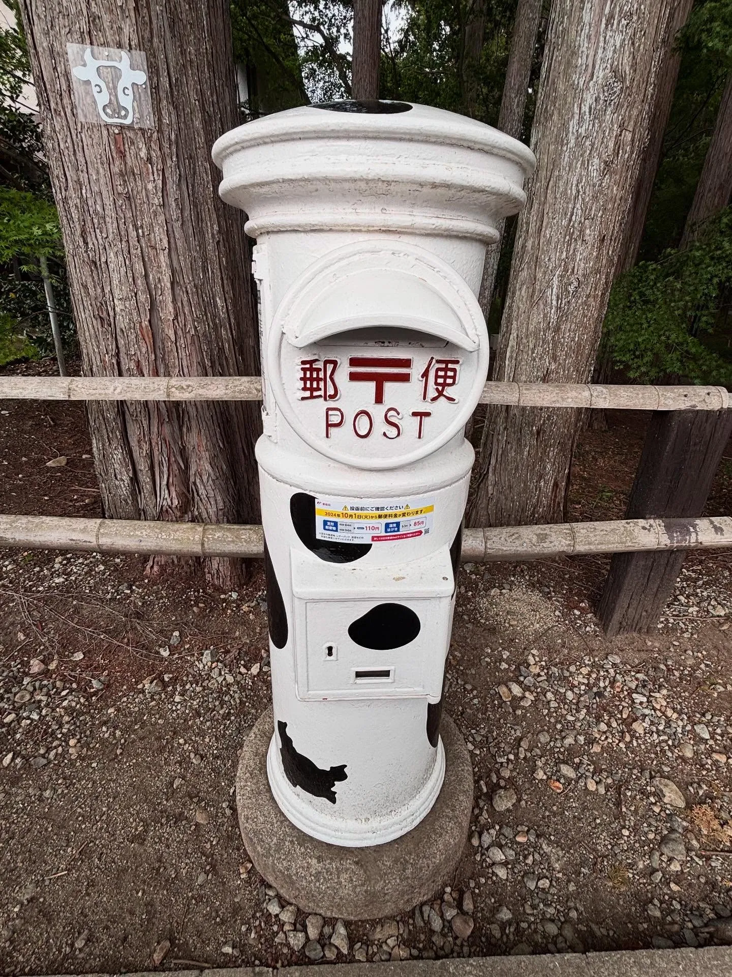 🚗狭山市中古車販売店CarShop FACT.🚗