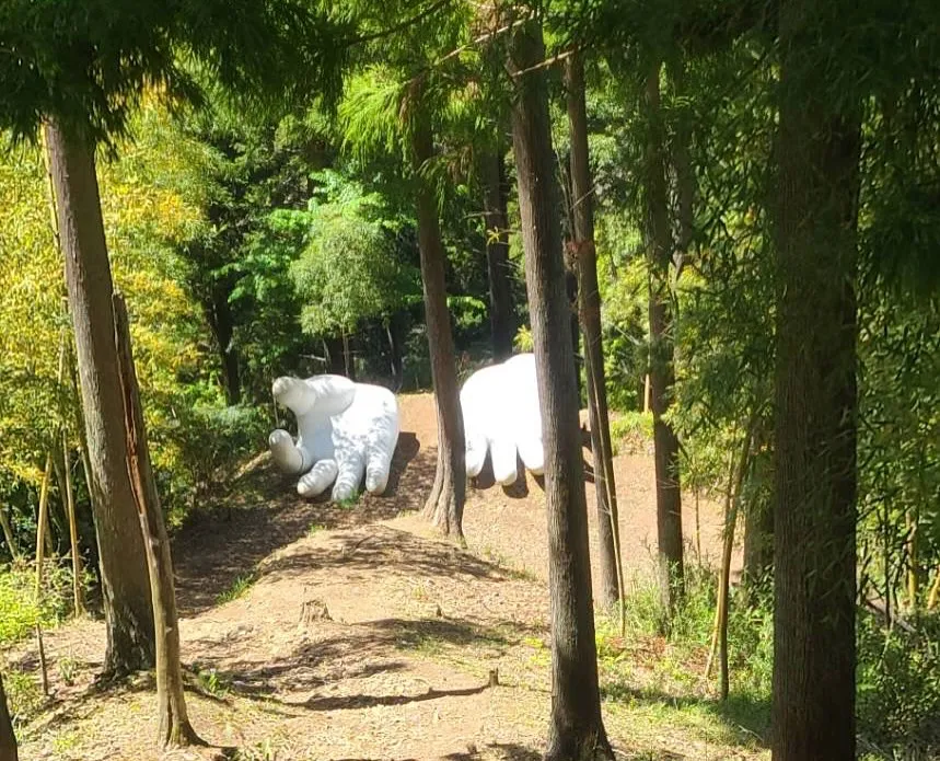 🚗狭山市中古車販売店CarShop FACT.🚗