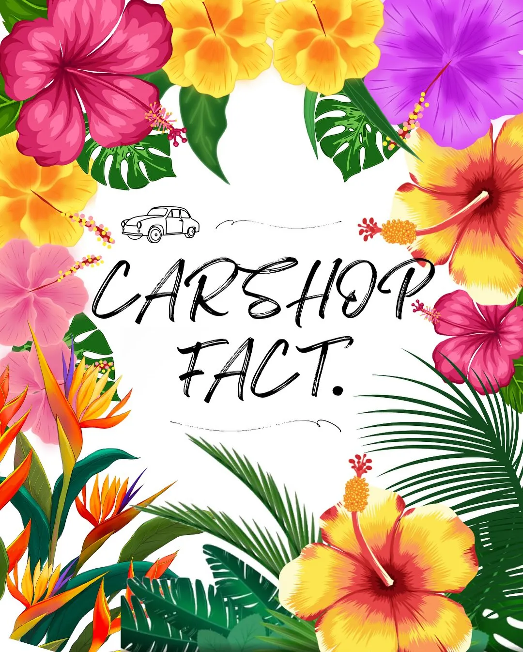 🚗狭山市中古車販売店CarShop FACT.🚗