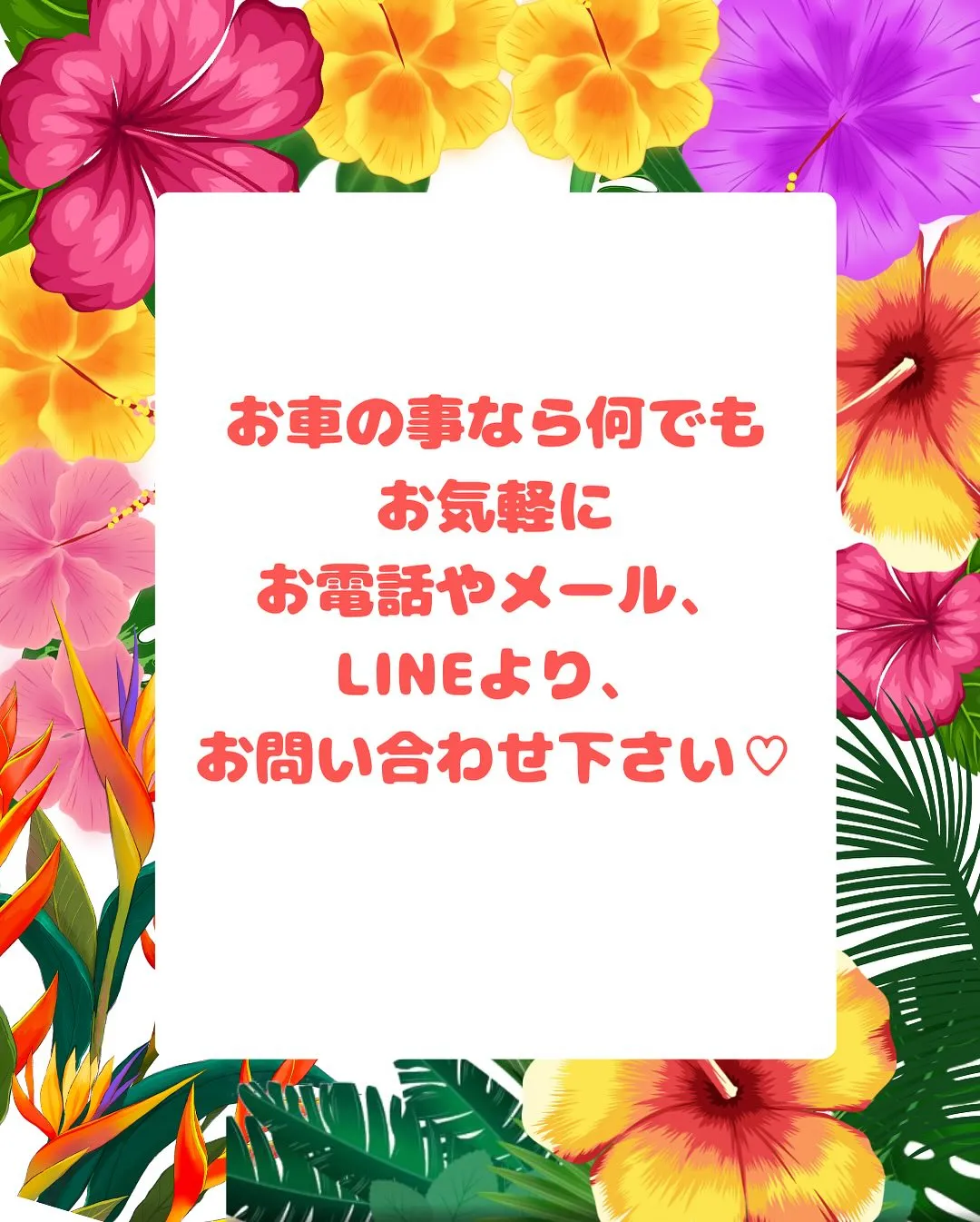 🚗狭山市中古車販売店CarShop FACT.🚗