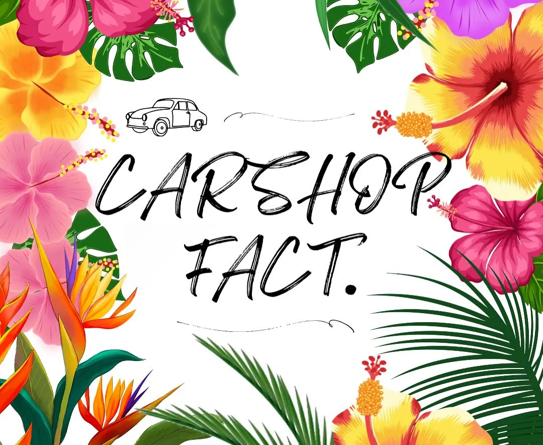 🚗狭山市中古車販売店CarShop FACT.🚗