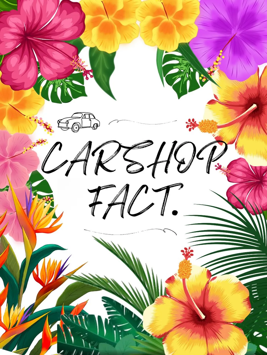 🚗狭山市中古車販売店CarShop FACT.🚗