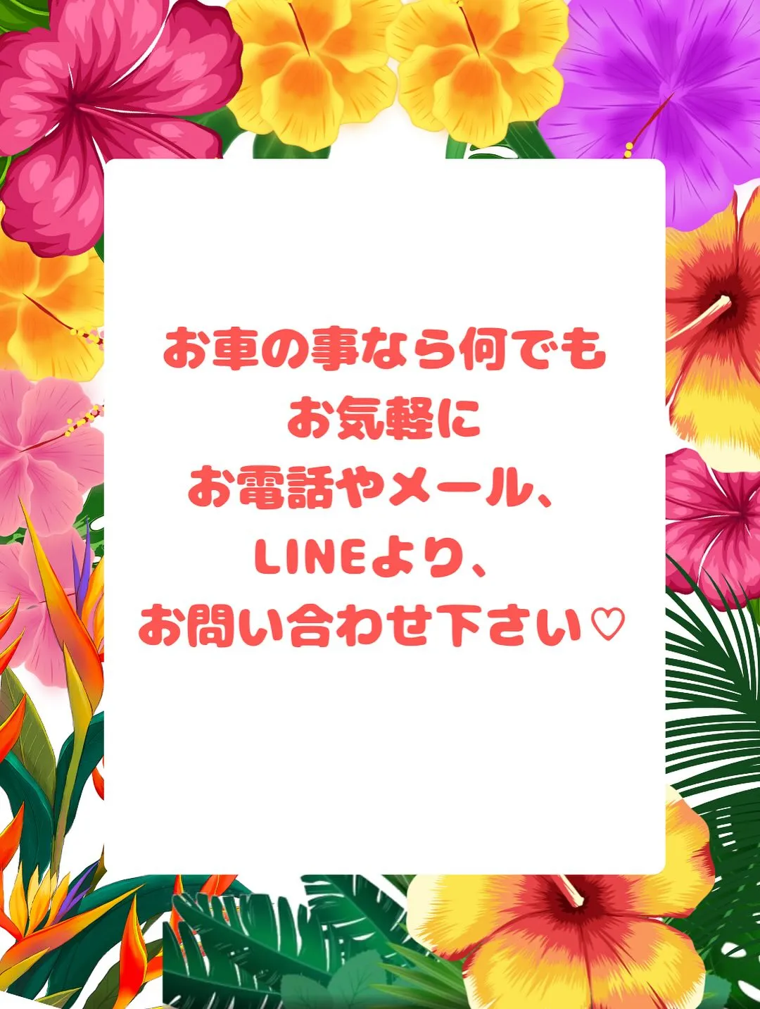 🚗狭山市中古車販売店CarShop FACT.🚗