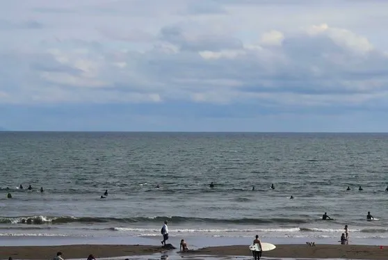 🚗狭山市中古車販売店CarShop FACT.🚗