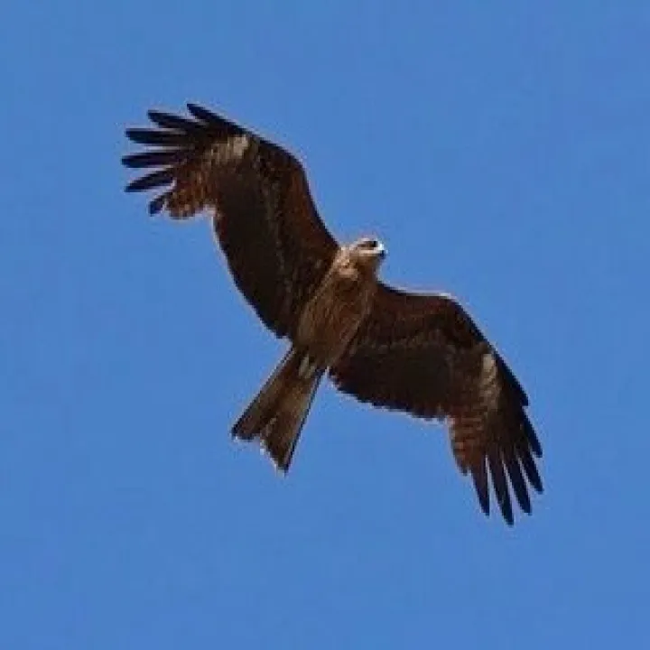 🚗狭山市中古車販売店CarShop FACT.🚗