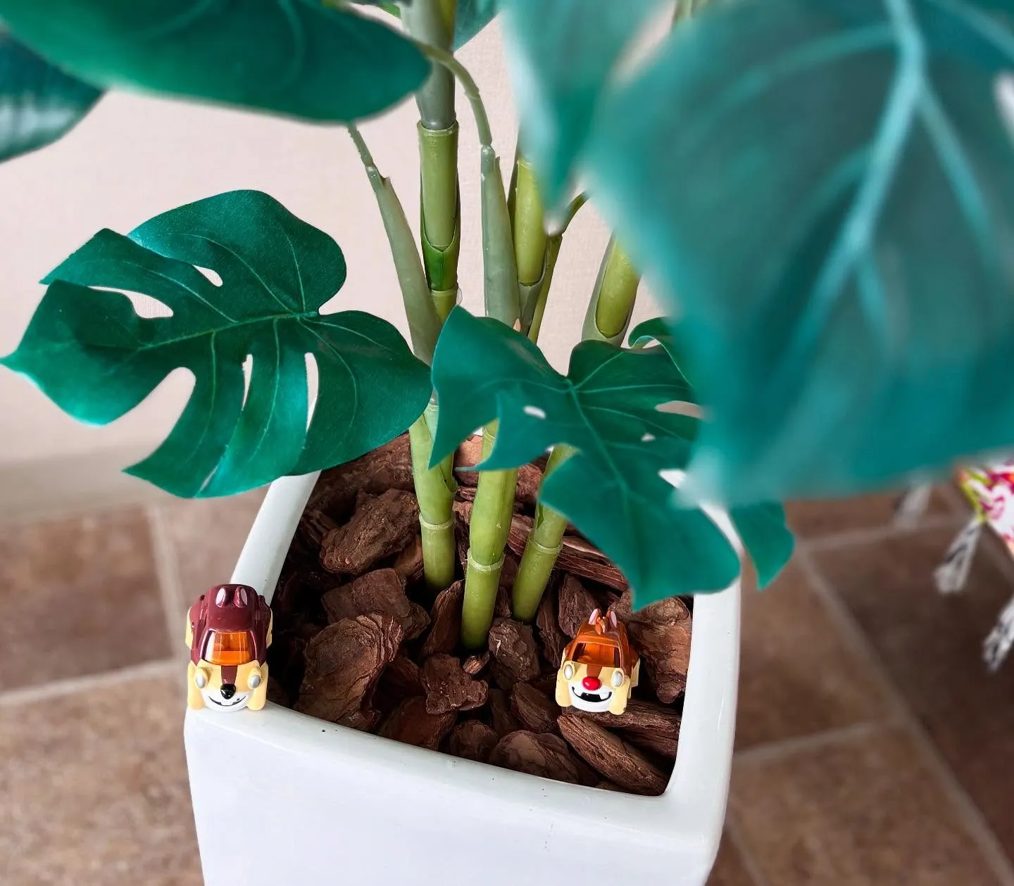 🚗狭山市中古車販売店CarShop FACT.🚗