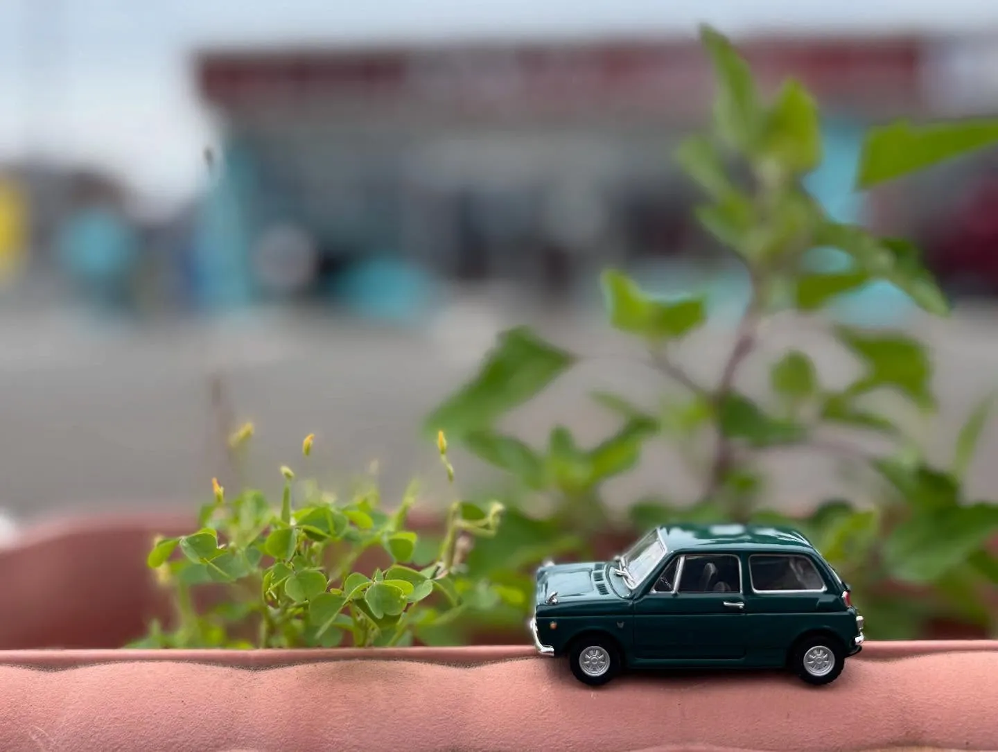 🚗狭山市中古車販売店CarShop FACT.🚗