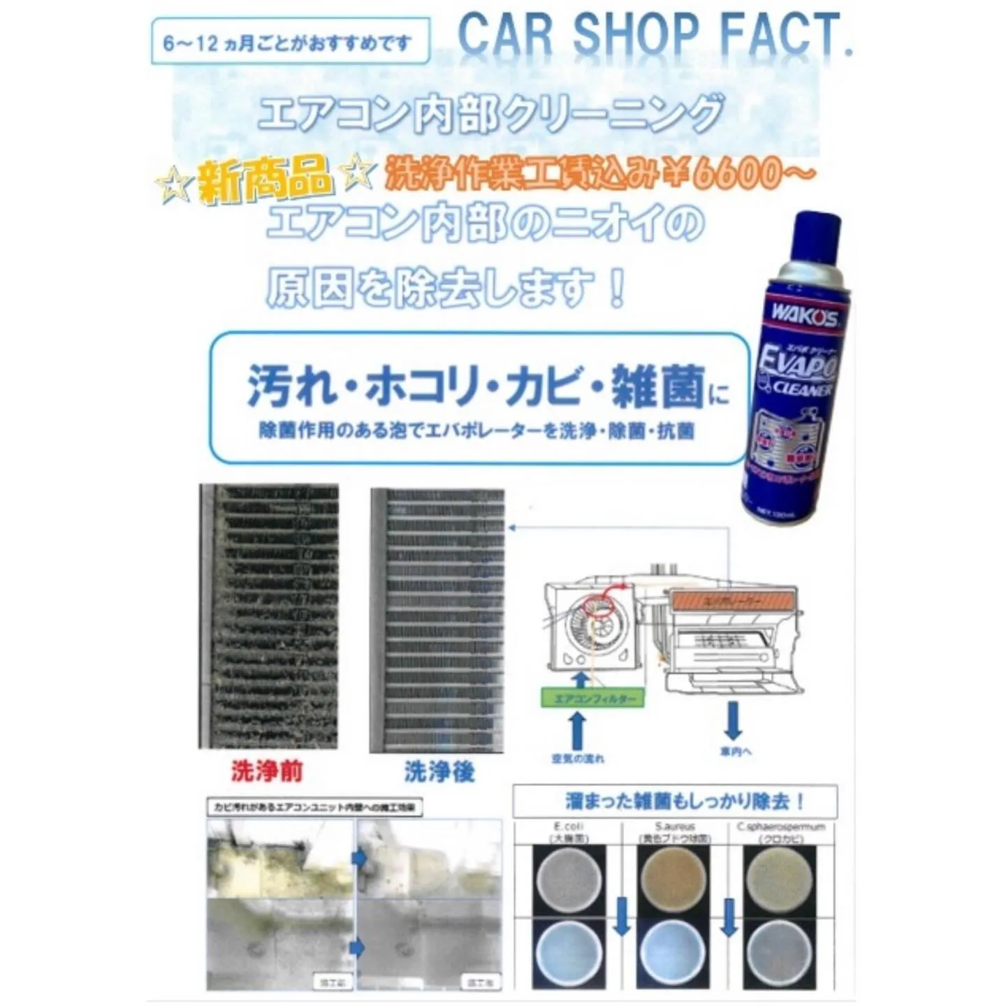 🚗狭山市中古車販売店CarShop FACT.🚗