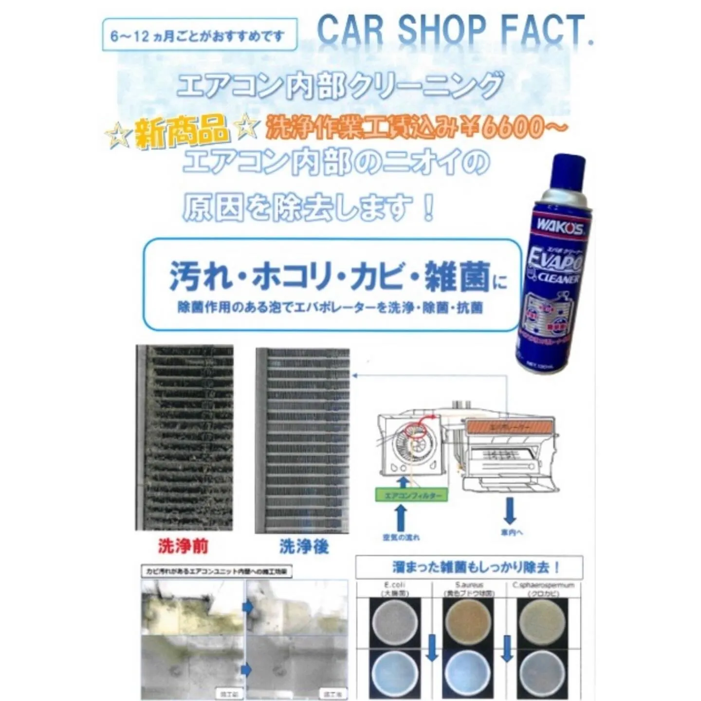 🚗狭山市中古車販売店CarShop FACT.🚗