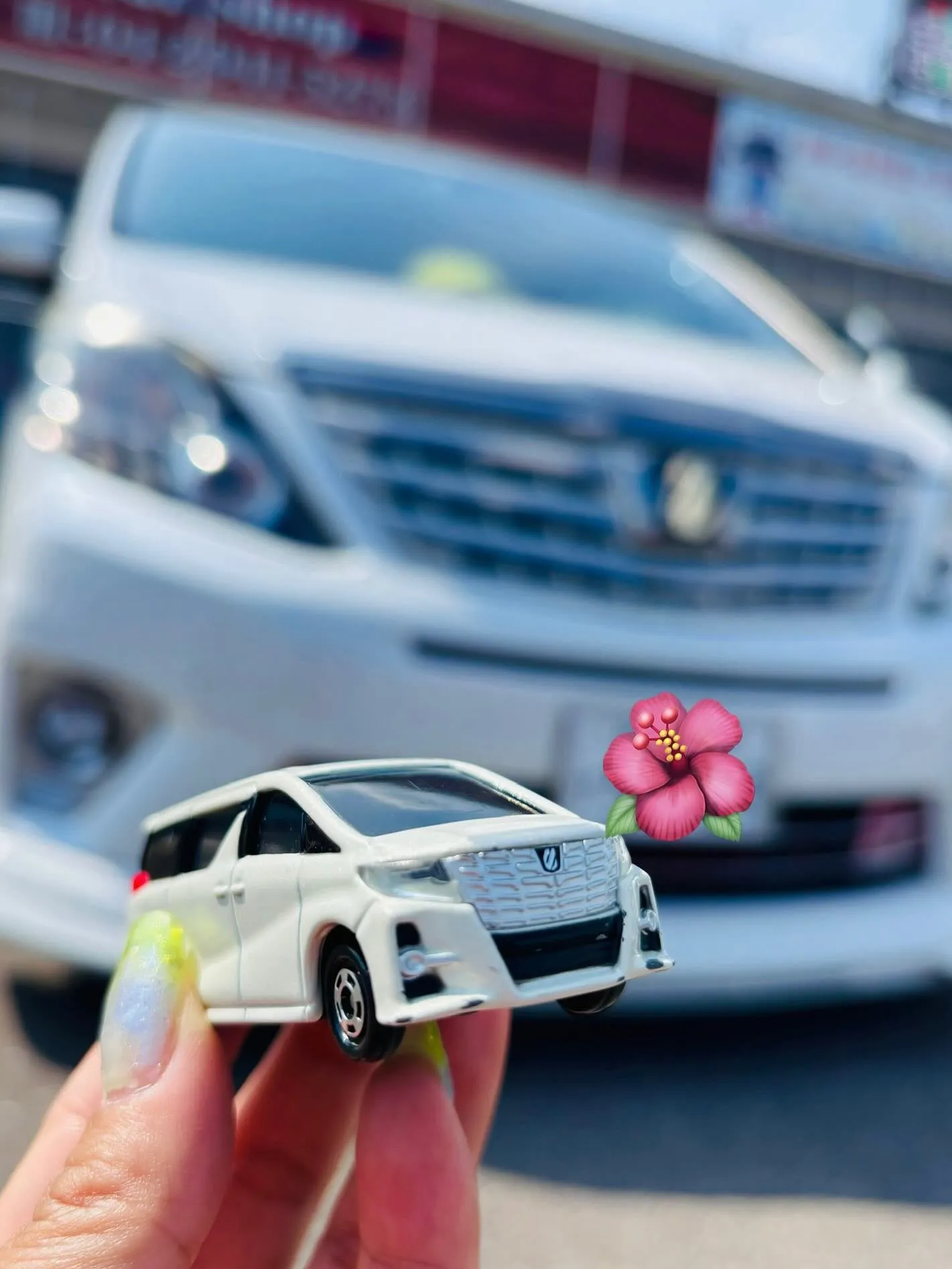 🚗狭山市中古車販売店CarShop FACT.🚗