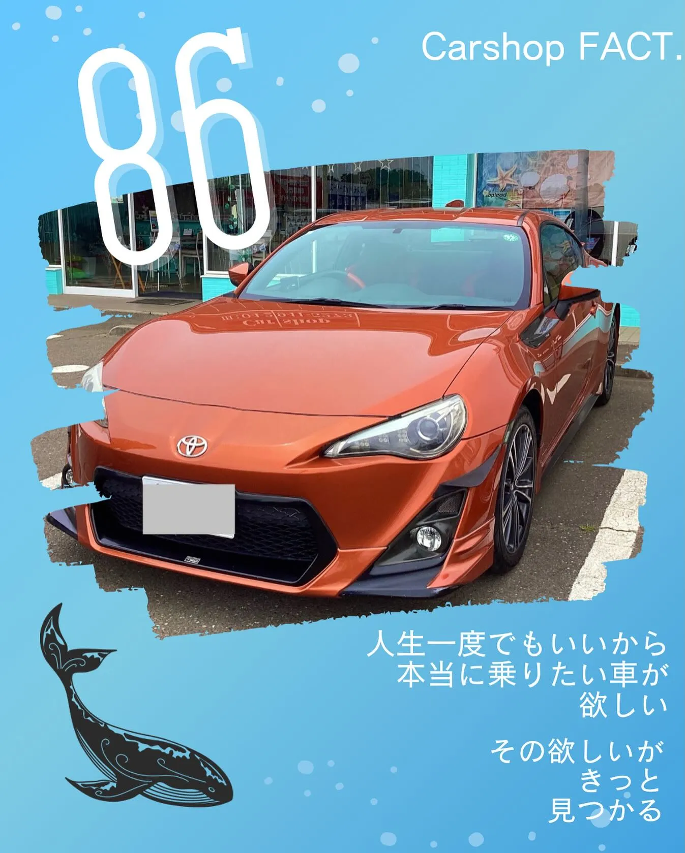 🚗狭山市中古車販売店CarShop FACT.🚗